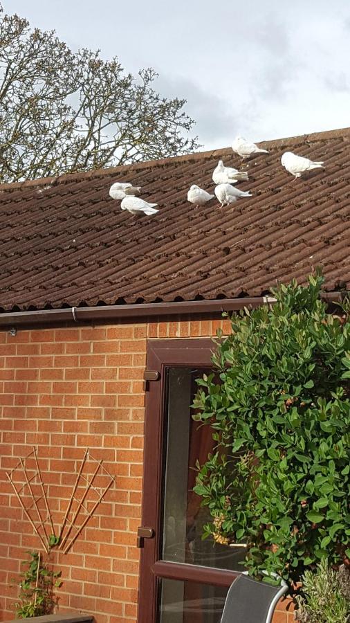 The White Dove Bed And Breakfast With Glamping Newark Showground Exterior foto
